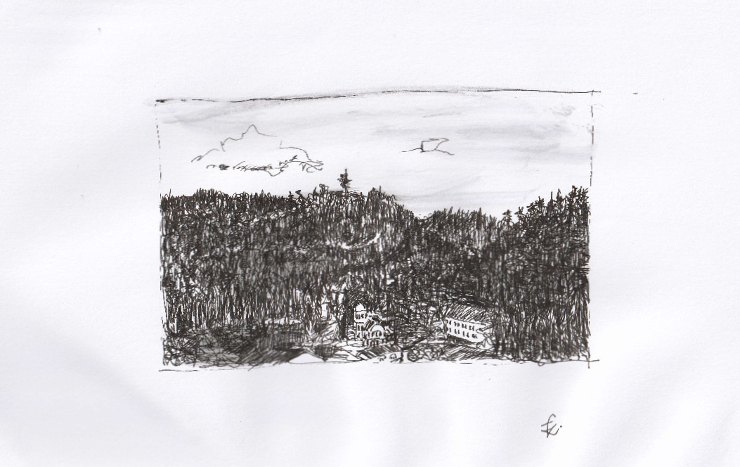 Blick auf Bad Liebenzell